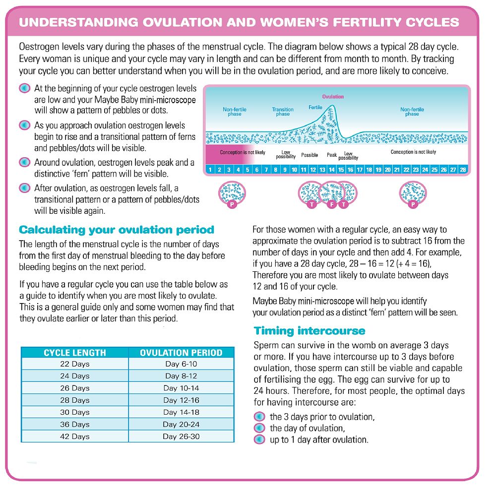 Maybe Baby Saliva Ovulation Tester