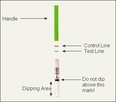 zoomteststick