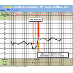 BBT Chart Farenheit