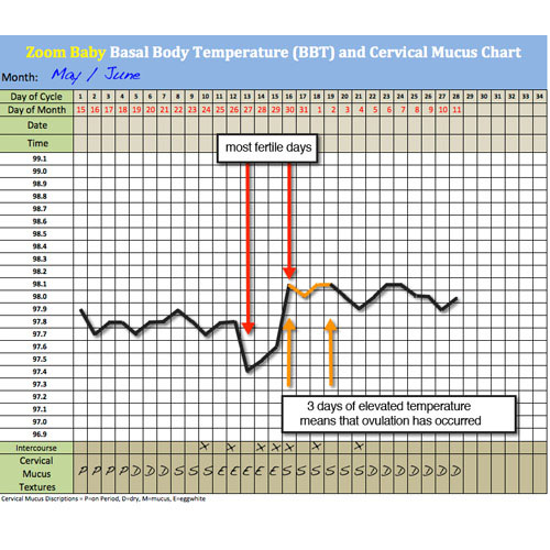 Bbt Chart During Pregnancy