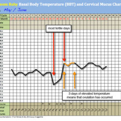 Body Temperature Chart Uk