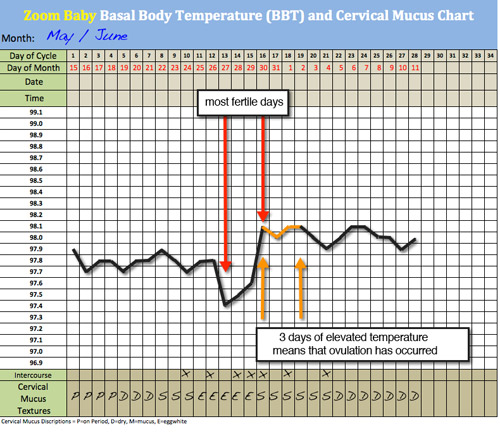 Basal Body Temperature Chart Ovulation