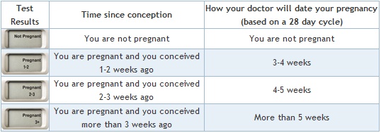 First Response Pregnancy Accuracy Chart