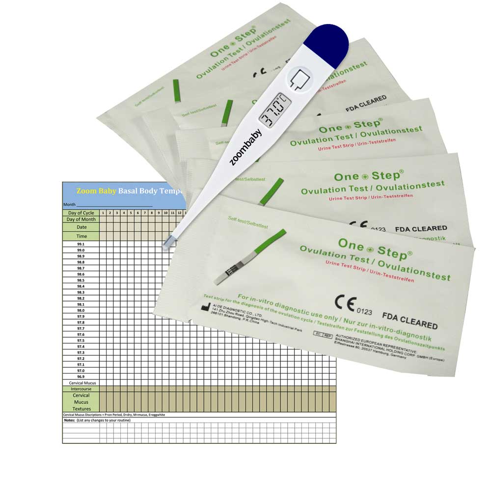 Basal Ovulation Thermometer - Bundle 1