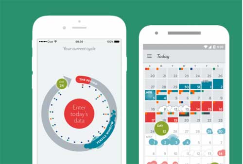 Fertility Apps Zoom Baby