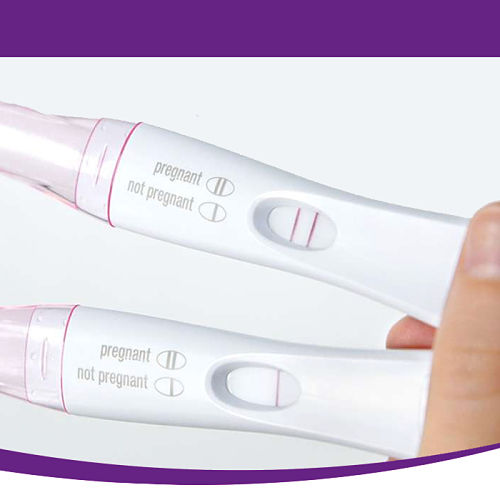 Take a First Response Pregnancy Test
