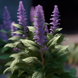 Can Agnus Castus Improve Pregnancy Chances?