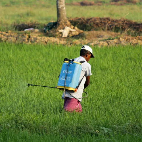 Are Pesticides Causing the Global Sperm Count Crisis?