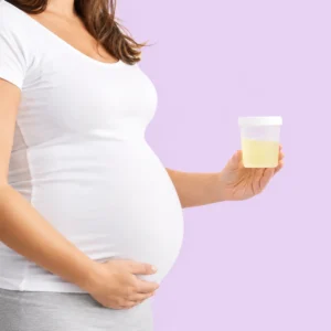 Pregnant Woman Holding Sample Cup